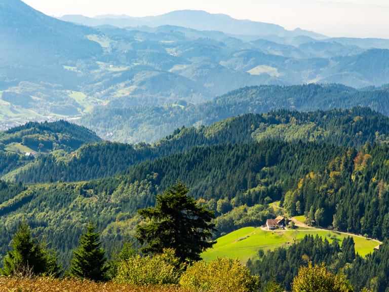 Landarzt