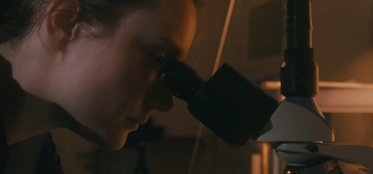 Still 2025 11 28 112057 1 13 3